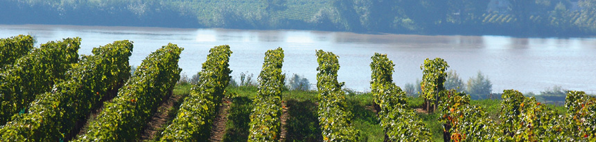 Fronsac